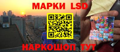 СК Бийск