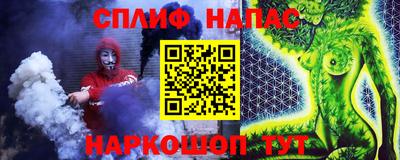 СК Бийск