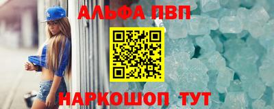 СК Бийск